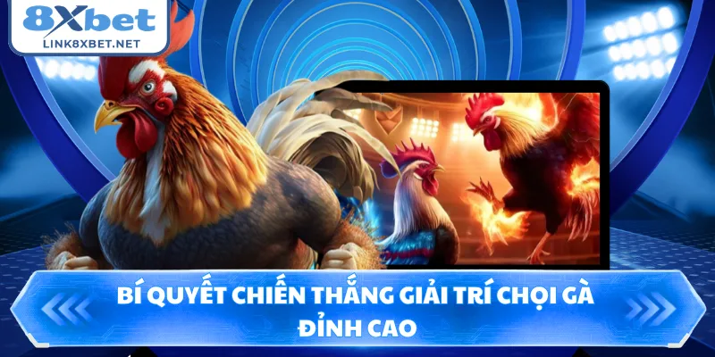 Bí quyết chiến thắng giải trí chọi gà đỉnh cao