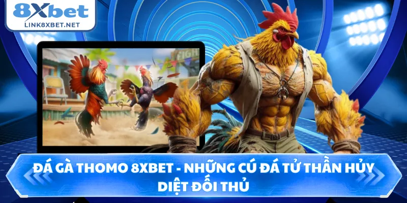 Đá Gà Thomo 8XBET - Những Cú Đá Tử Thần Hủy Diệt Đối Thủ