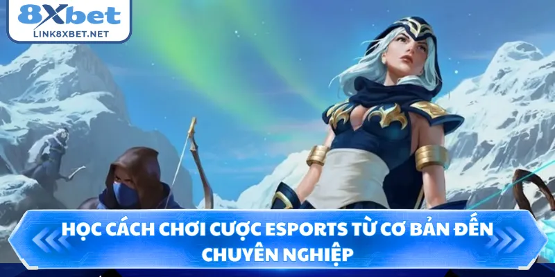 Học cách chơi cược Esports từ cơ bản đến chuyên nghiệp