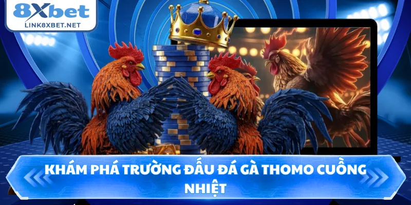Khám phá trường đấu đá gà Thomo cuồng nhiệt