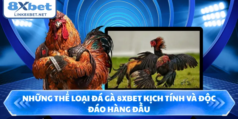 Những thể loại đá gà 8XBET kịch tính và độc đáo hàng đầu