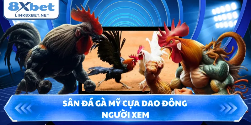 Sân đá gà Mỹ cựa dao đông người xem