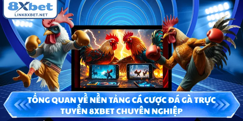 Tổng quan về nền tảng cá cược đá gà trực tuyến 8XBET chuyên nghiệp